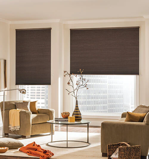 Motorized Cellular Shades