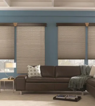 Honeycomb Blinds (3)