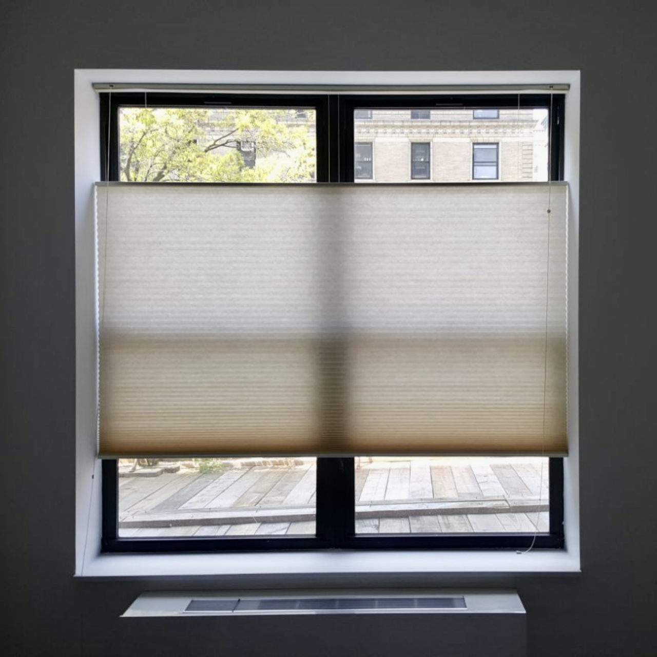 Single-Cell Honeycomb Shades