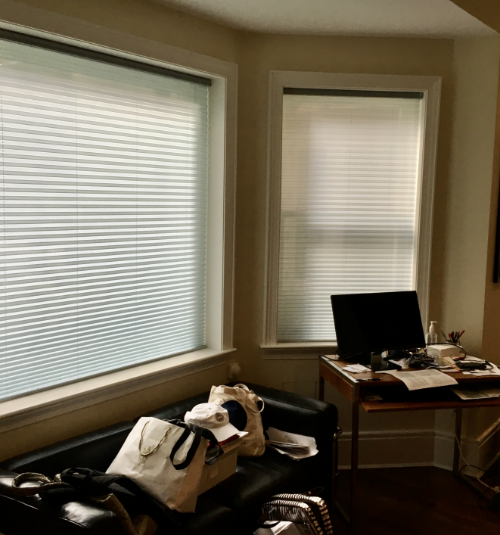 Motorized Pleated Shades