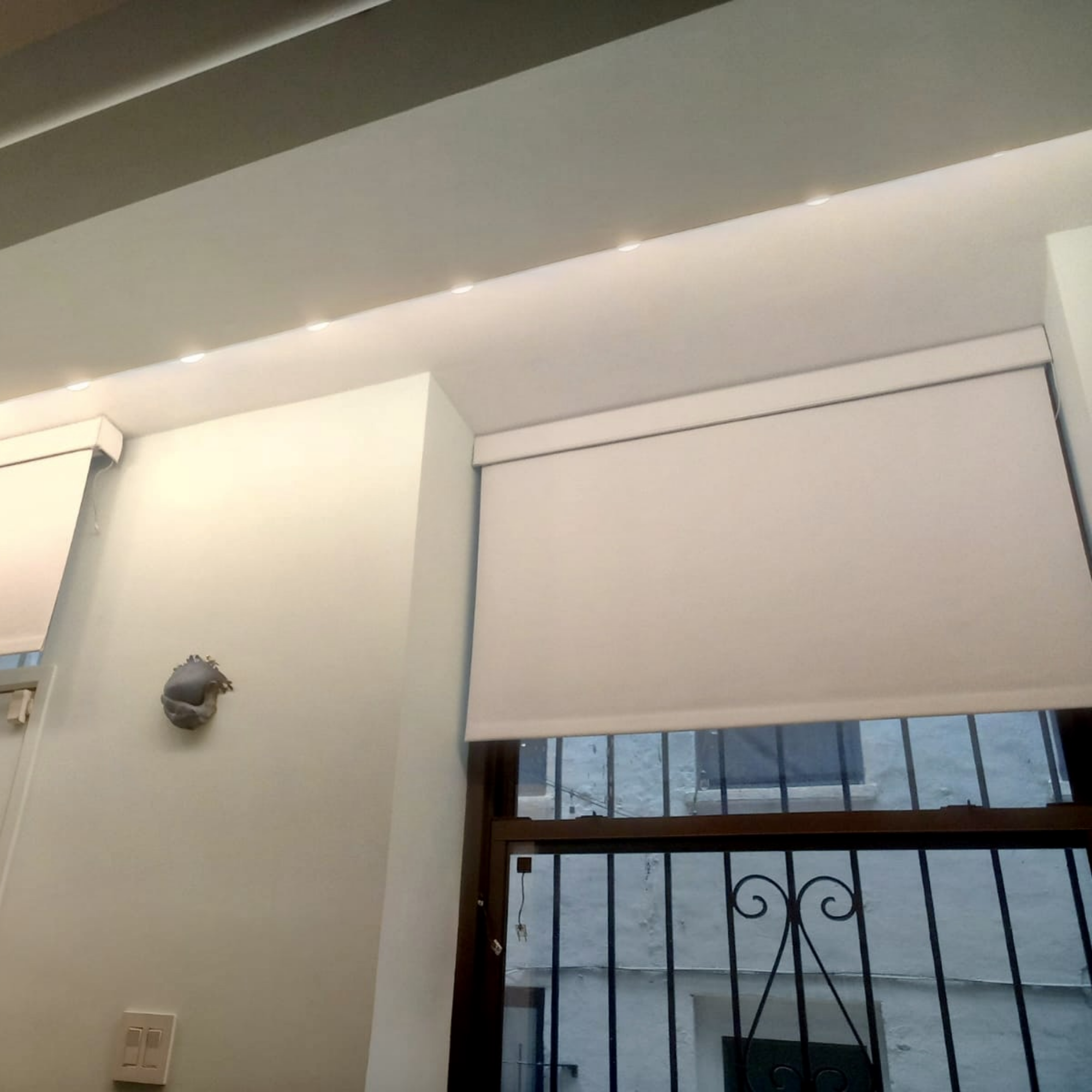 Motorized Blackout Shades