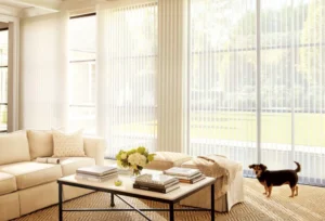 Best Window Shade Styles